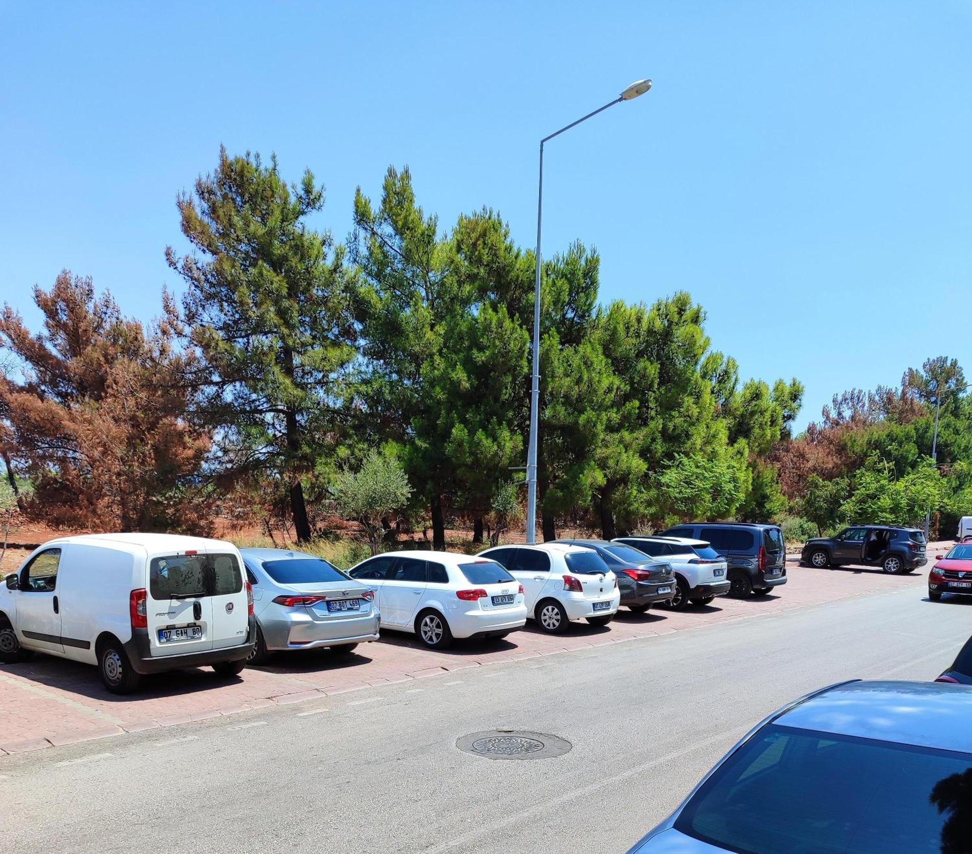 אנטליה Rega Otel מראה חיצוני תמונה
